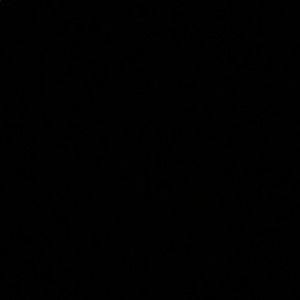 Meet your Posher, Bob